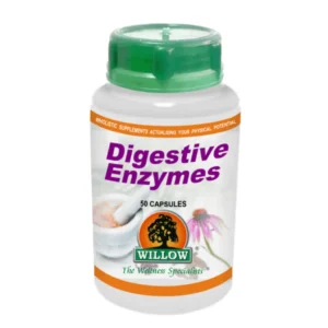 Digestive Enzymes
