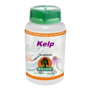 Kelp