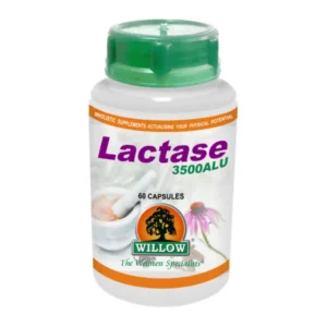 Lactase