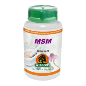 MSM