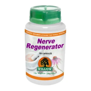 Nerve Regenerator