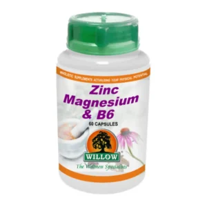 Zinc Mag & B6